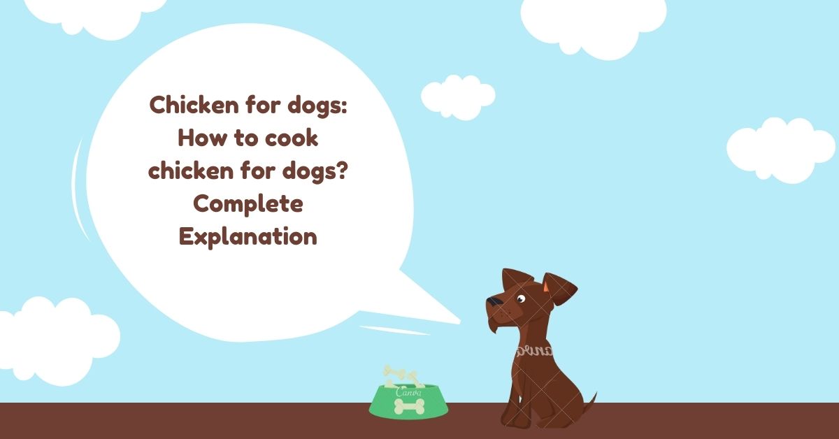 How to cook chicken for dogs