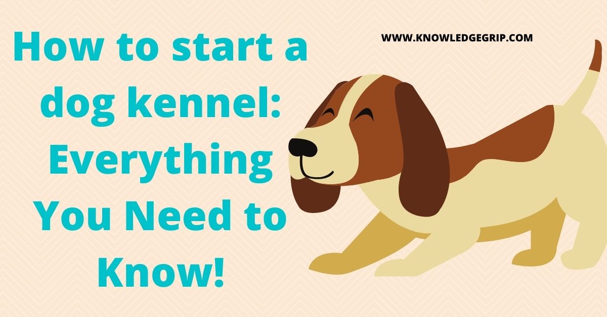 How to start a dog kennel Everything You Need to Know!